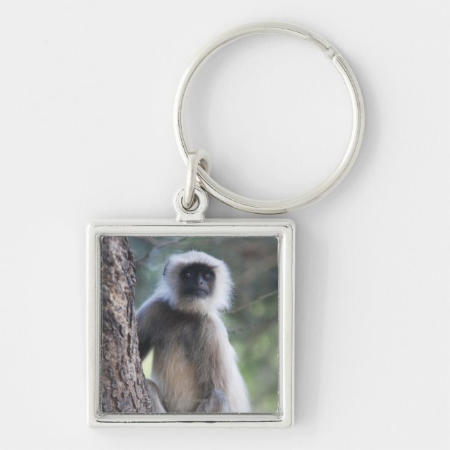 Gray or common or Hanuman langur Keychain (Front)