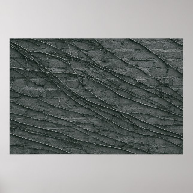 Gray painted brick wall poster (Front)