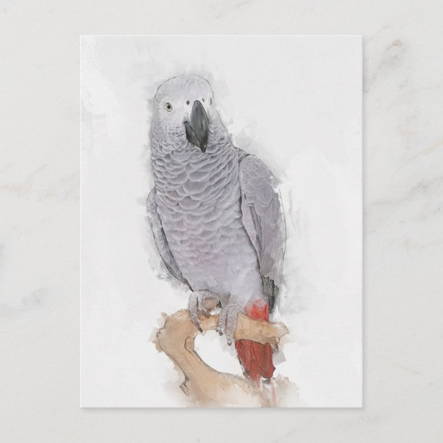 Gray Parrot Portrait Faux  Postcard (Front)