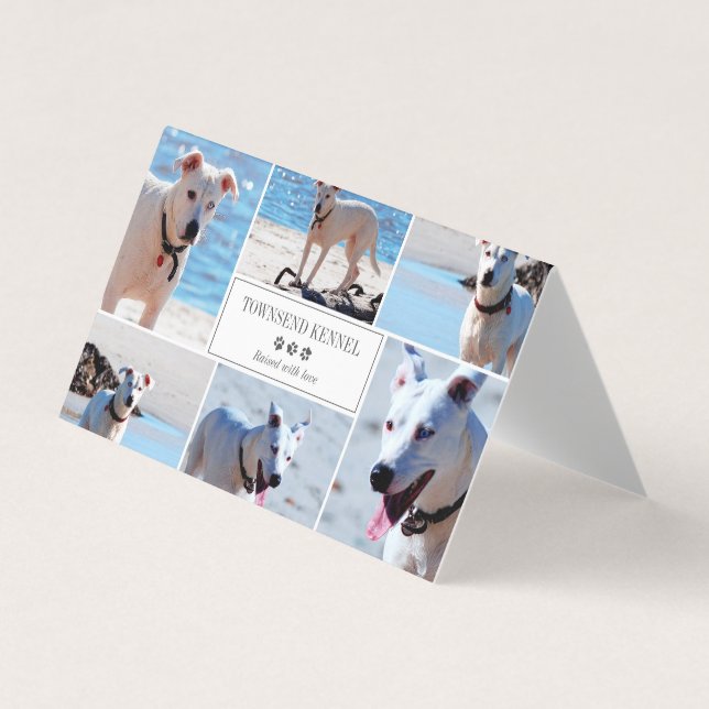 Gray Paw Prints - Photo Collage - Dog Kennel Business Card (Front)