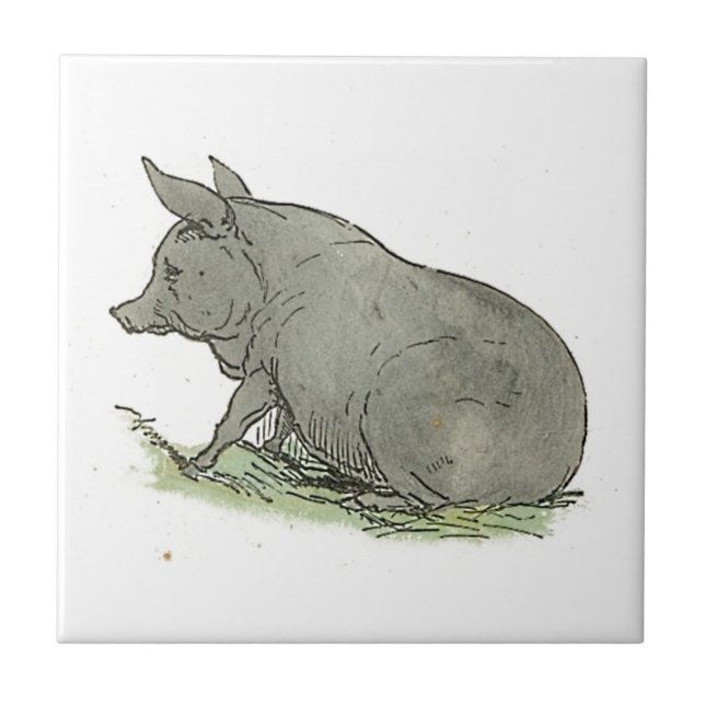 Gray Pig Children’s Book Piggy Farm Animal Art Tile (Front)