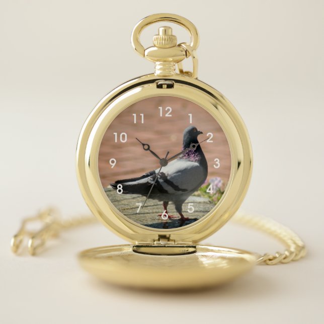 Gray Pigeon Pocket Watch (Inside)