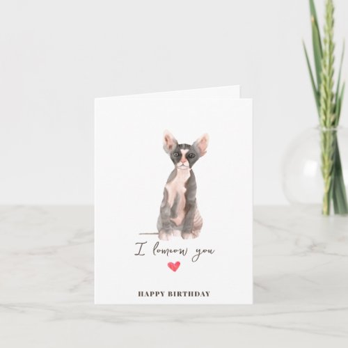 Gray Pink Sphynx Cat Heart Puppy Pets Birthday Card