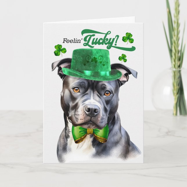 Gray Pit Bull Dog Feelin' Lucky St Patrick's Day Holiday Card (Front)