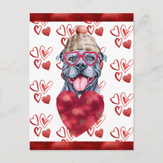 Gray Pitbull Hearts Dog Lover Valentine Gift Holiday Postcard (Front)