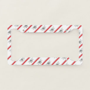 Gray Plane Red Lines Airplanes Pilot Plane License Plate Frame