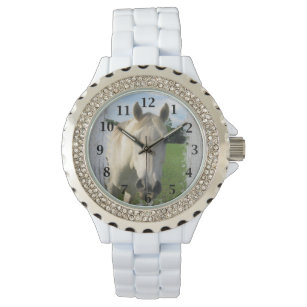 Gray Quarter Horse on Whitewashed Board Watch