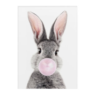 Gray rabbit blowing pink bubble gum acrylic print