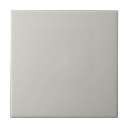 Gray Repose Square Kitchen and Bathroom Ceramic Tile