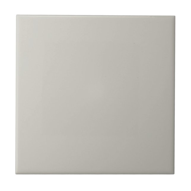Gray Repose Square Kitchen and Bathroom Ceramic Tile (Front)