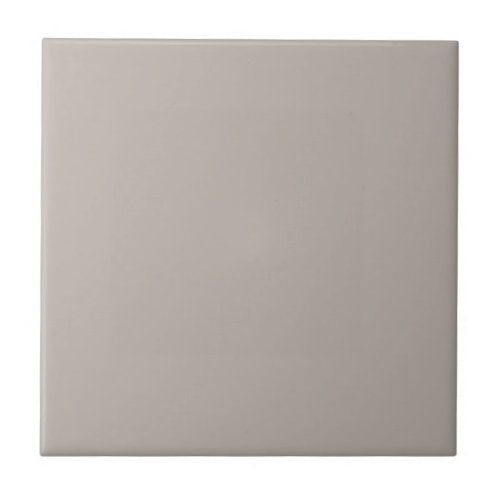 Gray Requisite Gray Square Kitchen and Bathroom Ceramic Tile