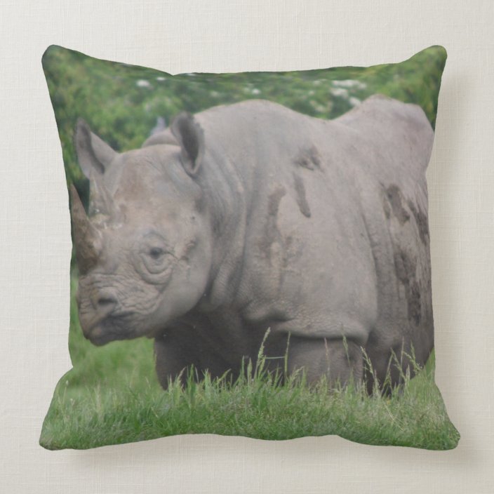 rhino pillow pet