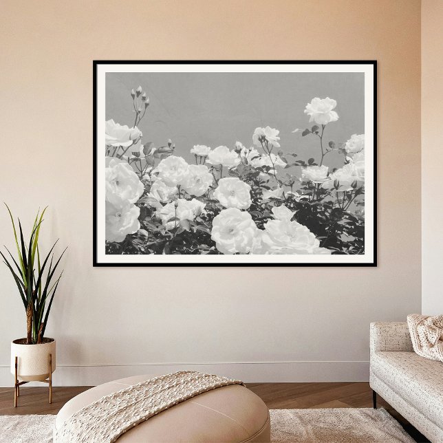 Gray Roses Floral Garden Photo Art Print Poster (Creator Uploaded)
