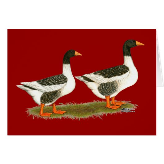 Gray Saddleback Geese Cards (Front Horizontal)
