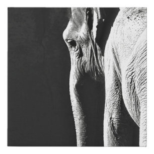 GRAY SCALE PHOTO OF ELEPHANT FAUX CANVAS PRINT