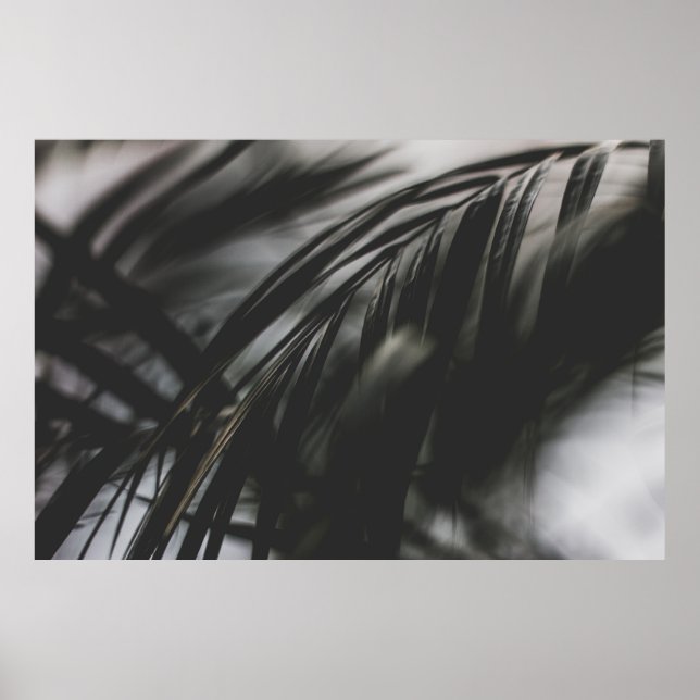 GRAY SCALE PHOTO OF PLANT LEAVES POSTER (Front)