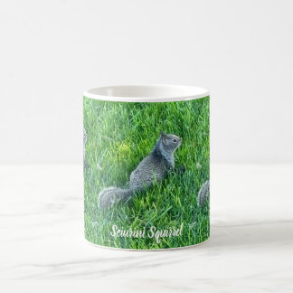 Gray Sciurini Color Morph Mug