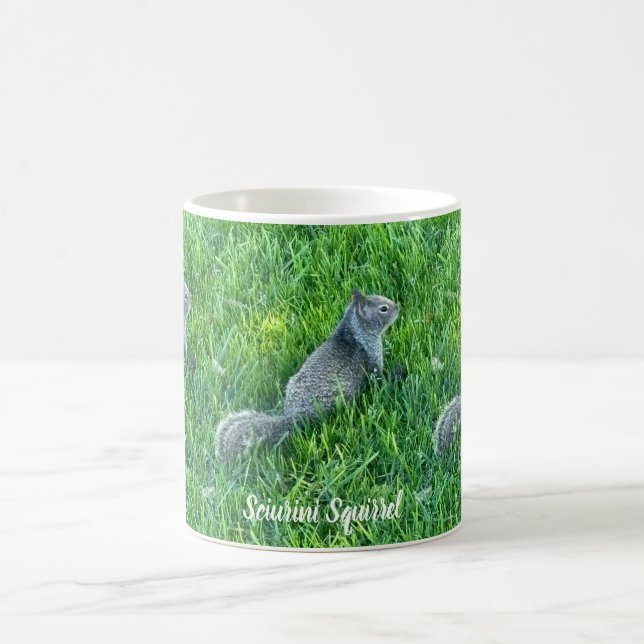 Gray Sciurini Color Morph Mug (Center)
