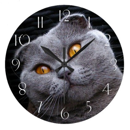 Gray scottish fold cat large clock