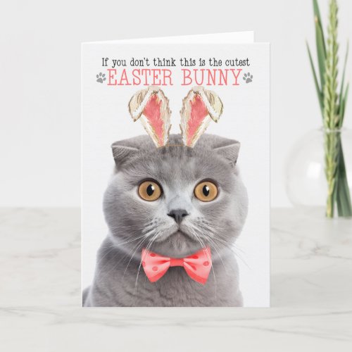 Gray Scottish Fold Cutest Easter Bunny Kitty Puns Holiday Card