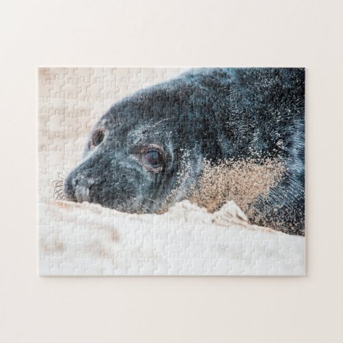 Gray Seal in the sand Jigsaw Puzzle