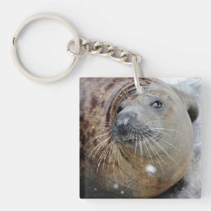 Gray Seal on Ice Keychain