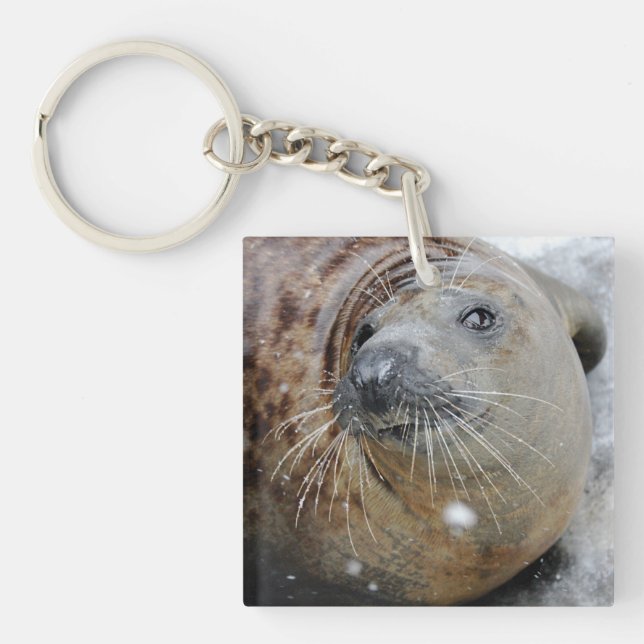 Gray Seal on Ice Keychain (Front)