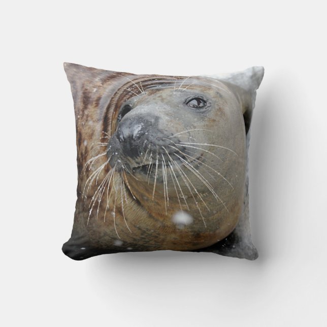 Gray Seal on Ice Throw Pillow (Front)