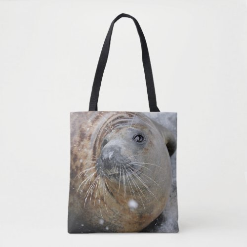 Gray Seal on Ice Tote Bag