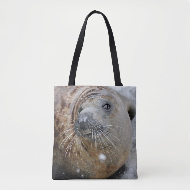 Gray Seal on Ice Tote Bag (Front)