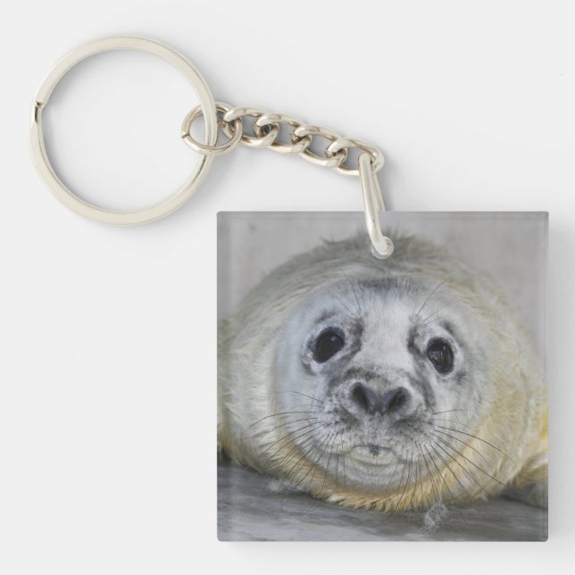 Gray Seal Pup Keychain (Front)