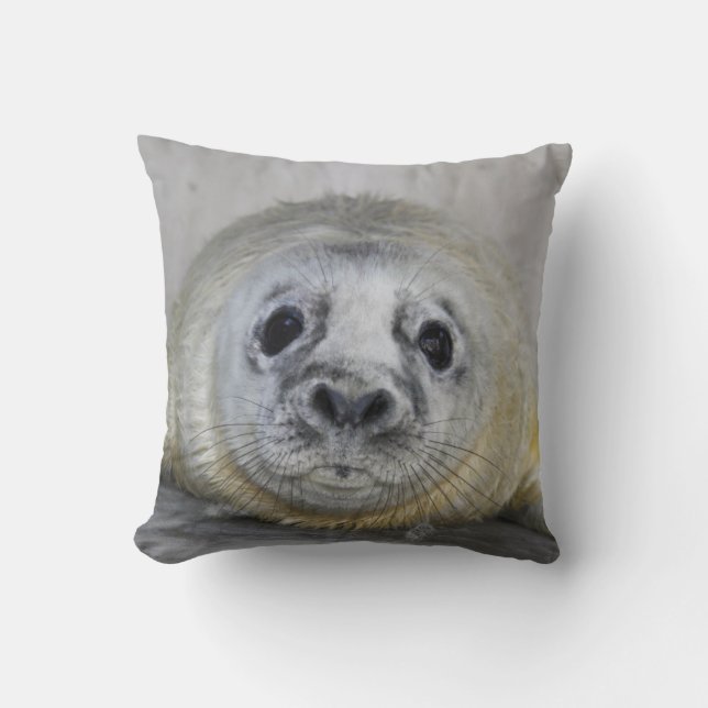 Gray Seal Pup Throw Pillow (Front)