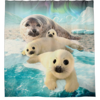 Gray Seals Shower Curtain