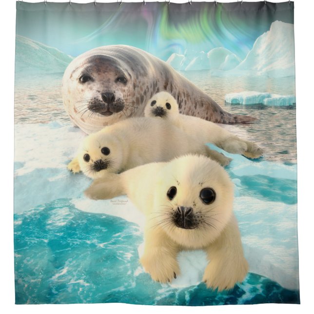 Gray Seals Shower Curtain (Front)