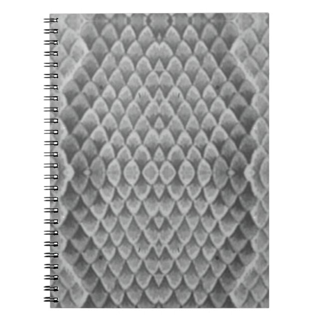 Gray Snakeskin Notebook (Front)