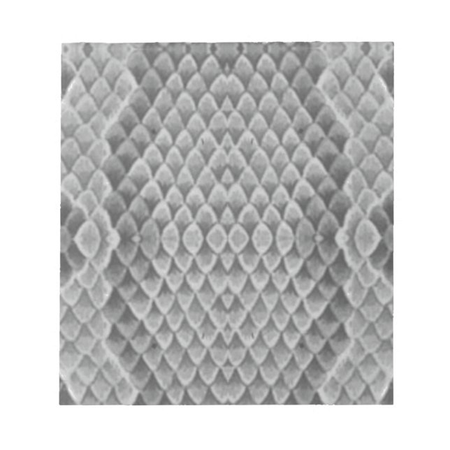 Gray Snakeskin Notepad (Front)