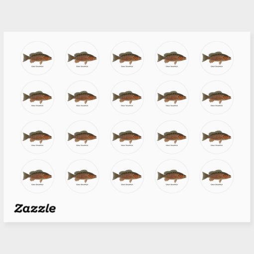 Gray Snapper Logo Classic Round Sticker | Zazzle