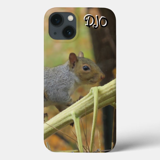 Gray Squirrel Case-Mate iPhone Case (Back)