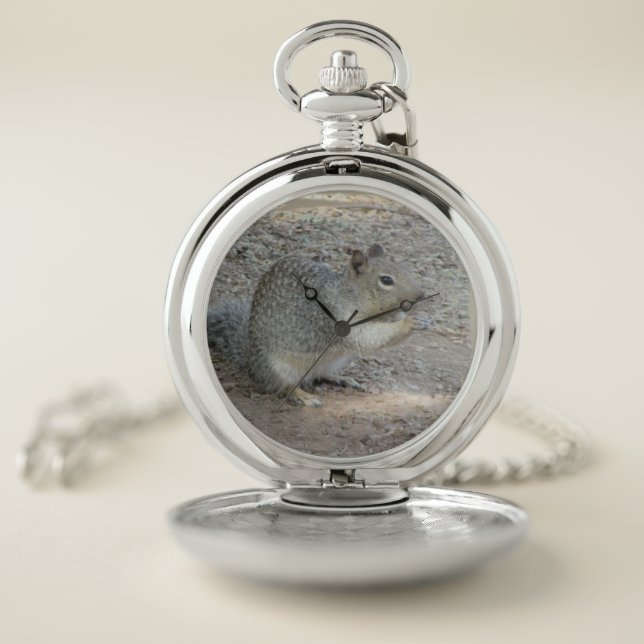 Gray Squirrel Cute Woodland Photo Wild Animal  Pocket Watch (Inside)