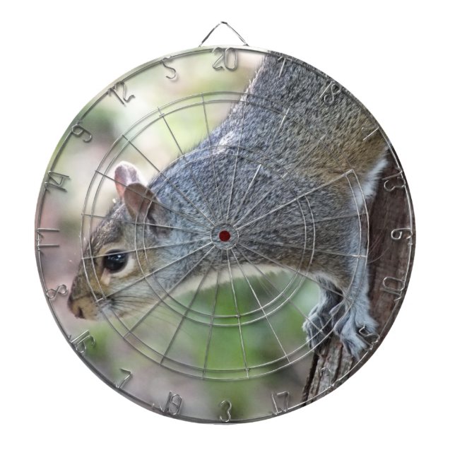 Gray Squirrel Dartboard (Front)