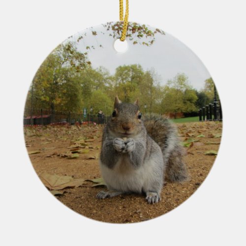 Gray Squirrel Hyde Park Ceramic Ornament