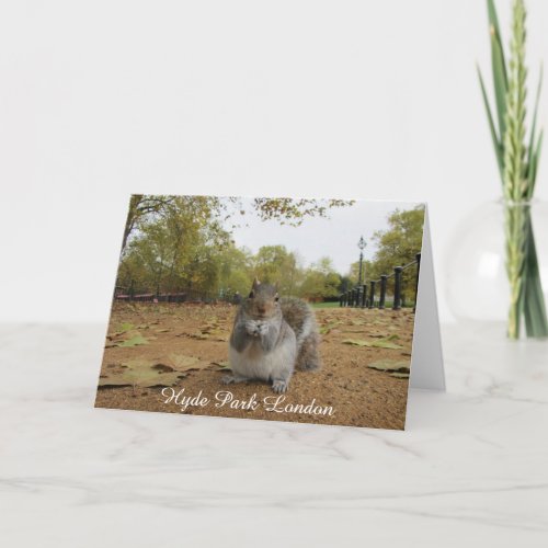 Gray Squirrel Hyde Park London Card