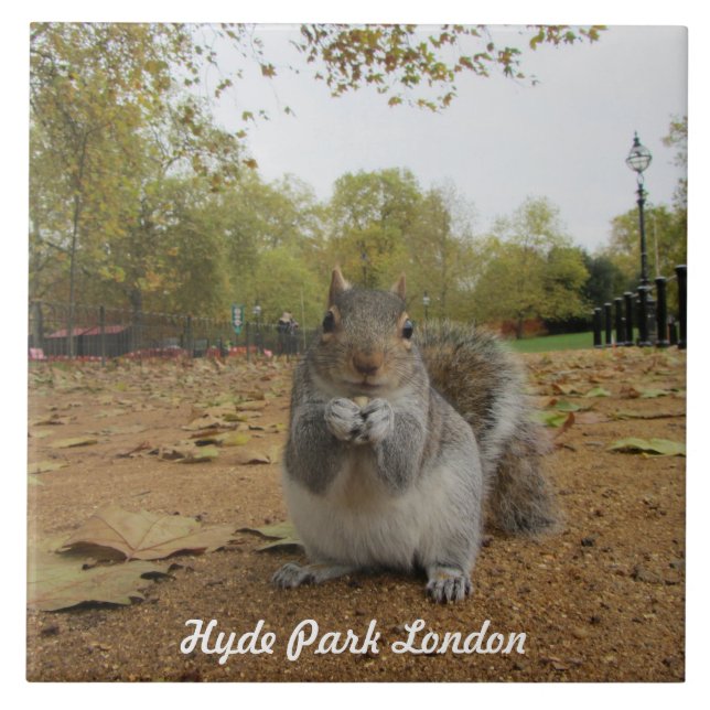 Gray Squirrel Hyde Park London. Ceramic Tile (Front)