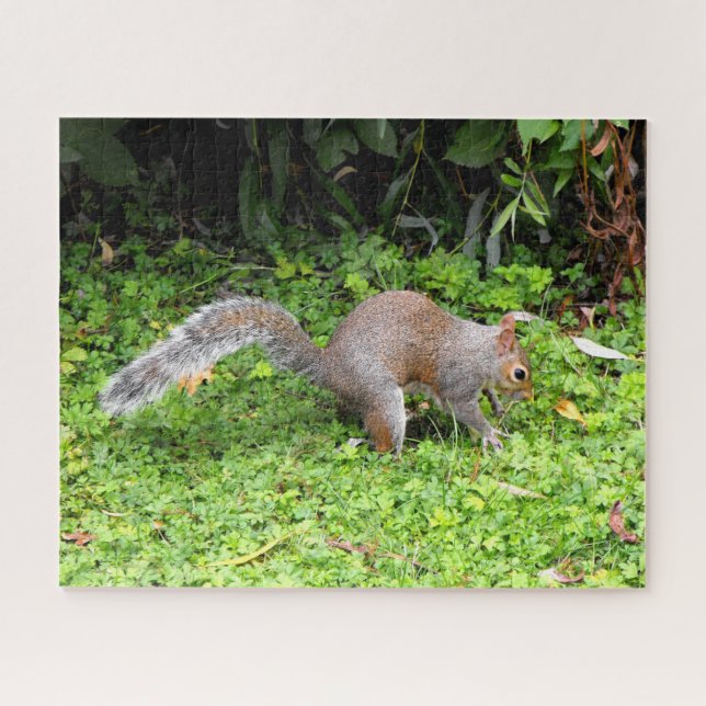 Gray squirrel jigsaw puzzle (Horizontal)