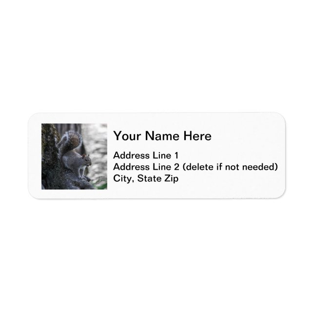 Gray Squirrel Label (Front)