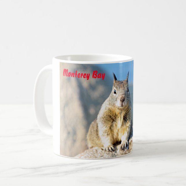 Gray squirrel, Monterey Bay, California Coffee Mug (Front Left)