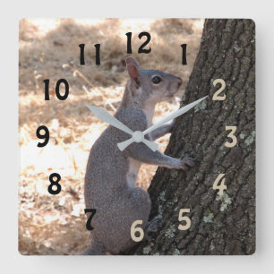 Gray Squirrel Numbered Wall Clock