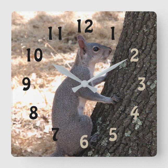 Gray Squirrel Numbered Wall Clock (Front)