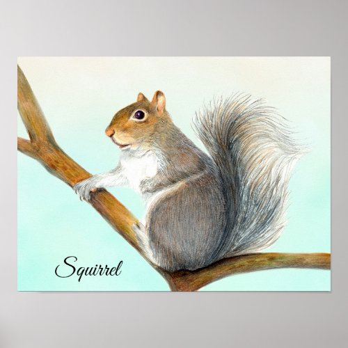 Gray Squirrel Pencil Drawing Artwork Poster
