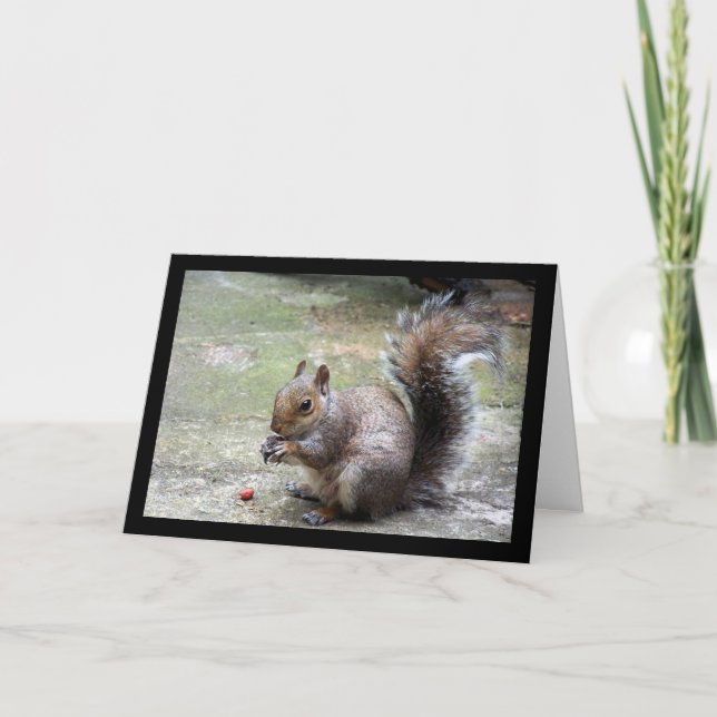Gray Squirrel Portrait Card (Front)